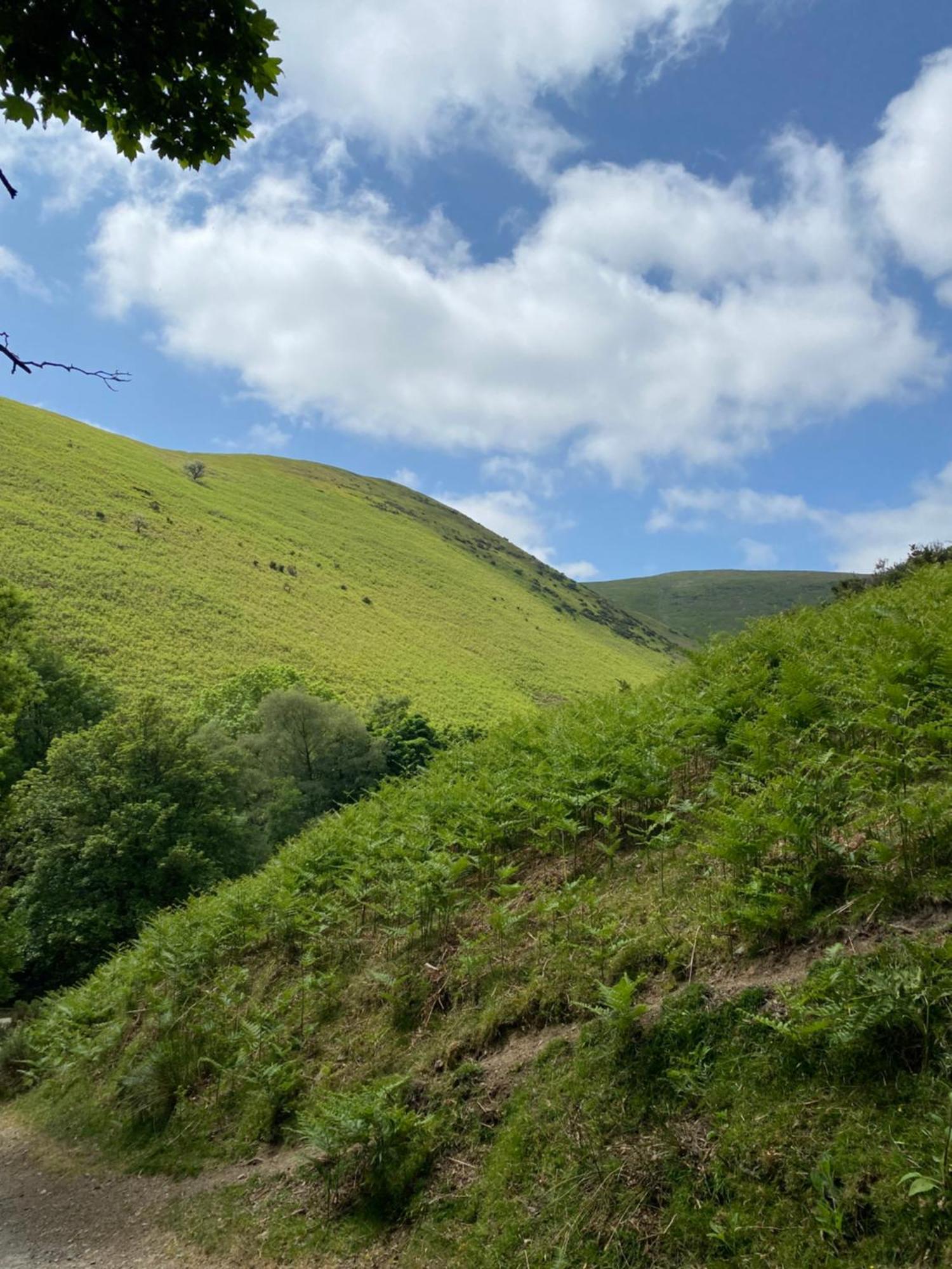Pass The Keys Quaint 1 Bedroom Cottage In Church Stretton Extérieur photo